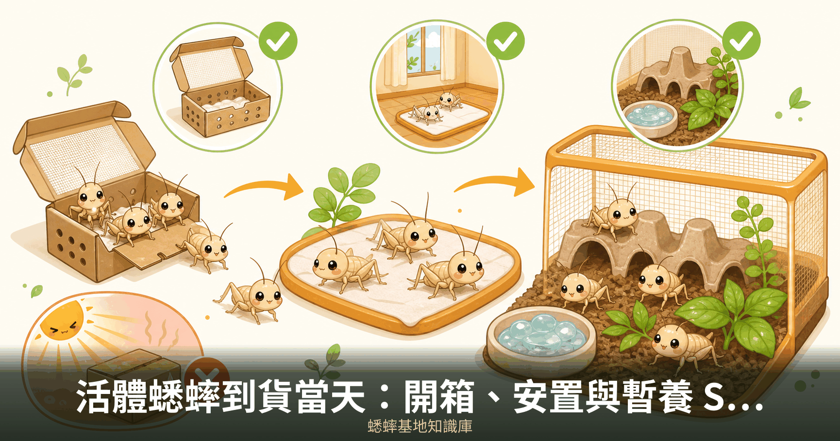 活體蟋蟀到貨當天:開箱、安置與暫養 SOP