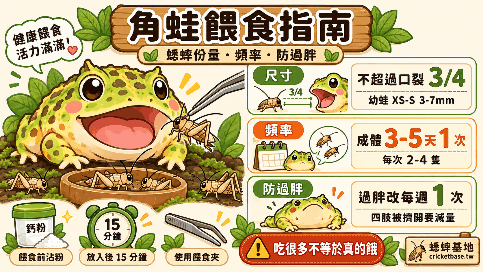 角蛙怎麼餵?蟋蟀份量、頻率、預防過胖完整餵食指南