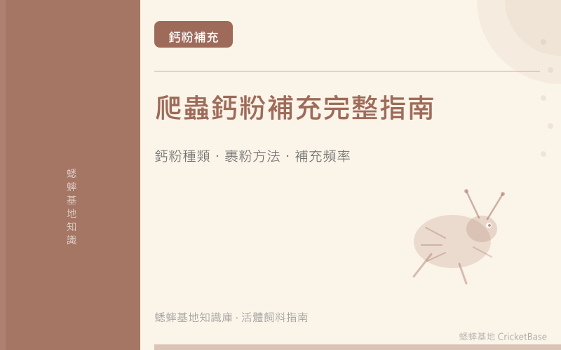 爬蟲鈣粉怎麼用？含 D3 還是不含 D3、多久補一次完整說明