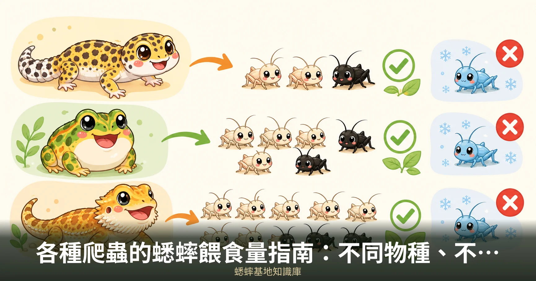 各種爬蟲的蟋蟀餵食量指南：不同物種、不同年齡的實用參考