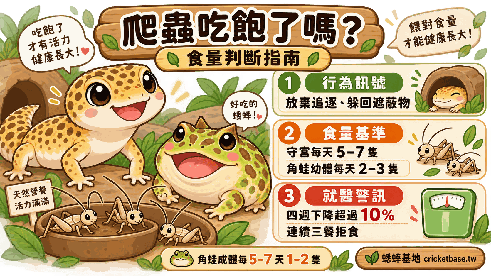 爬蟲吃飽了嗎?守宮、角蛙、爬蟲的食量判斷指南