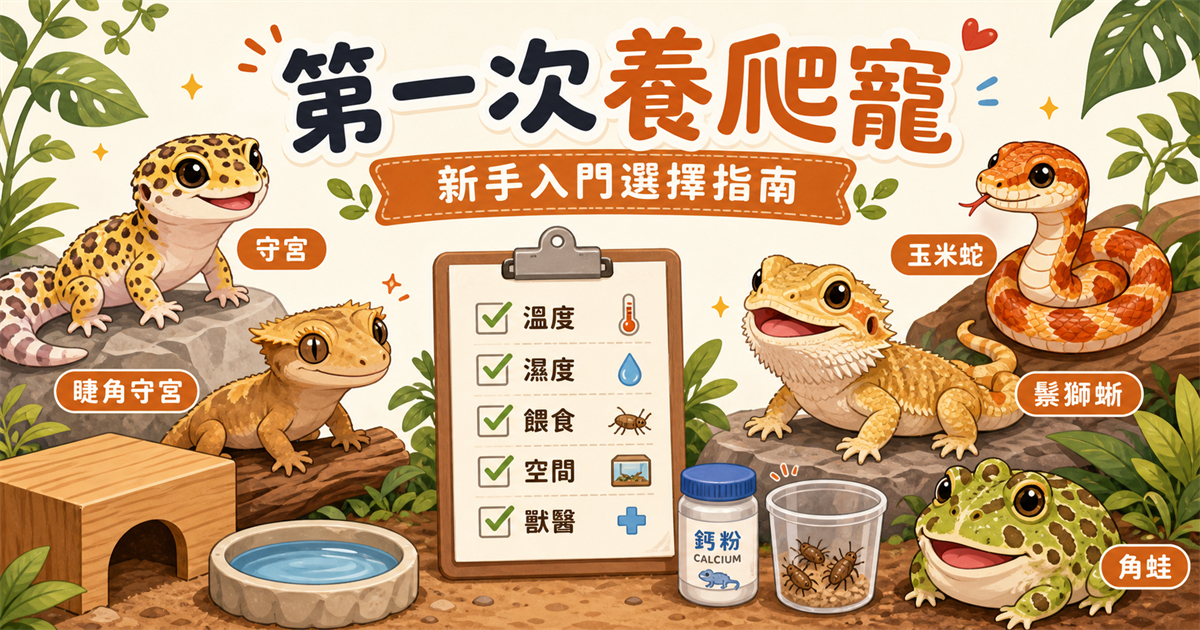 第一次養爬蟲怎麼選？適合新手的 5 種爬蟲完整比較
