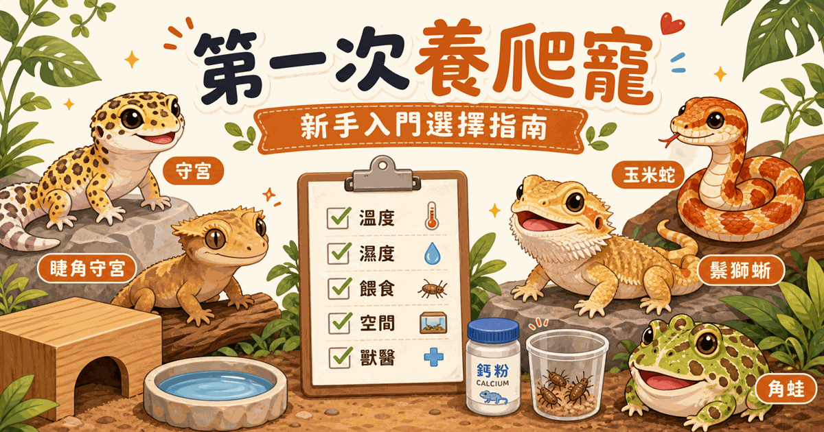 第一次養爬蟲怎麼選?適合新手的 5 種爬蟲完整比較