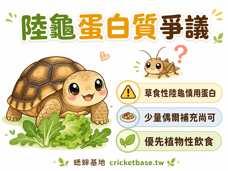 陸龜偶爾需要蛋白質嗎?蟋蟀在陸龜飲食中的邊界與爭議
